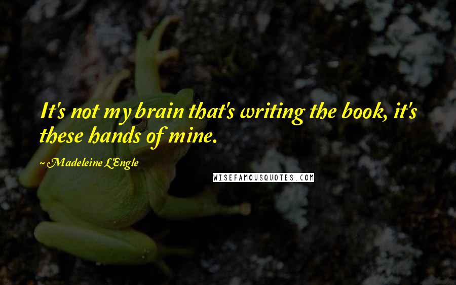 Madeleine L'Engle Quotes: It's not my brain that's writing the book, it's these hands of mine.