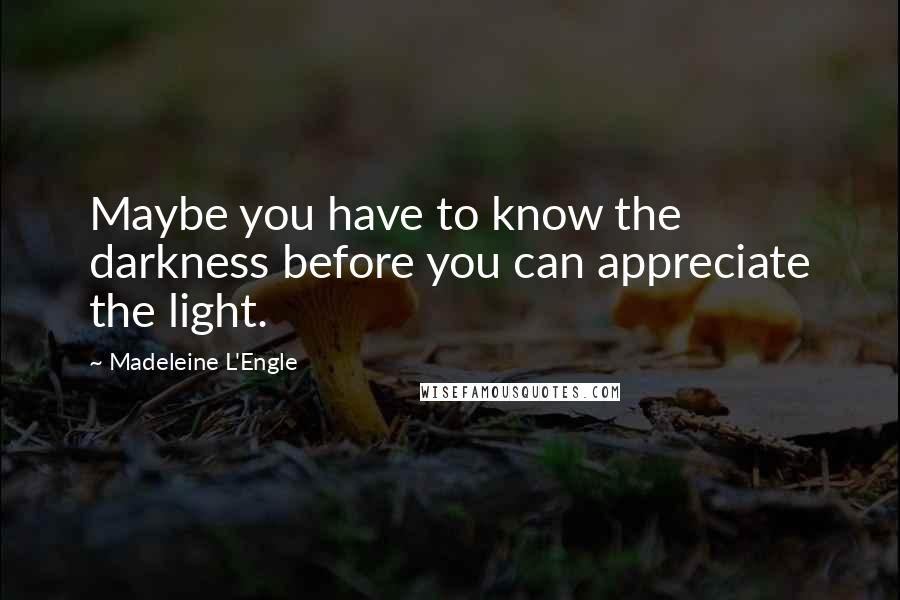 Madeleine L'Engle Quotes: Maybe you have to know the darkness before you can appreciate the light.