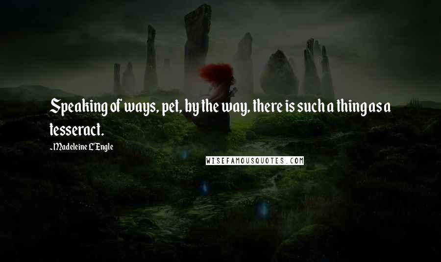 Madeleine L'Engle Quotes: Speaking of ways, pet, by the way, there is such a thing as a tesseract.