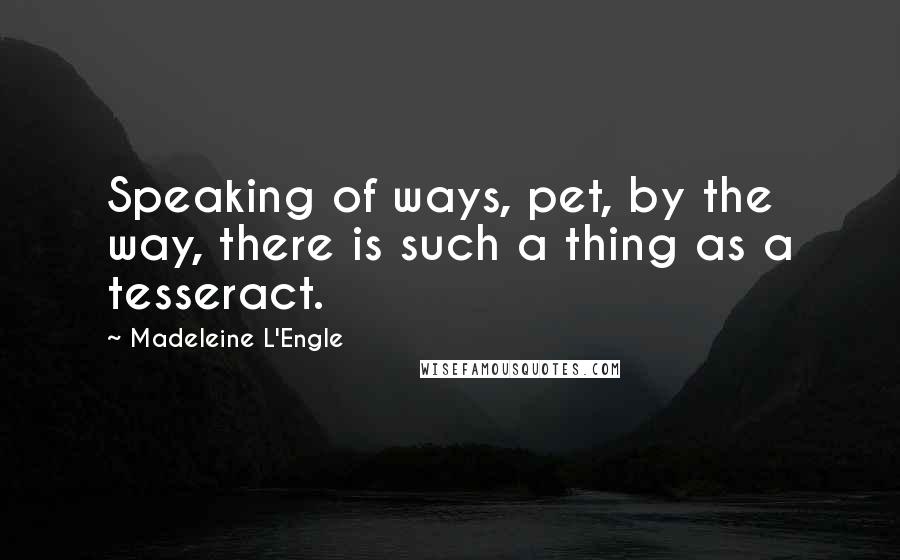 Madeleine L'Engle Quotes: Speaking of ways, pet, by the way, there is such a thing as a tesseract.