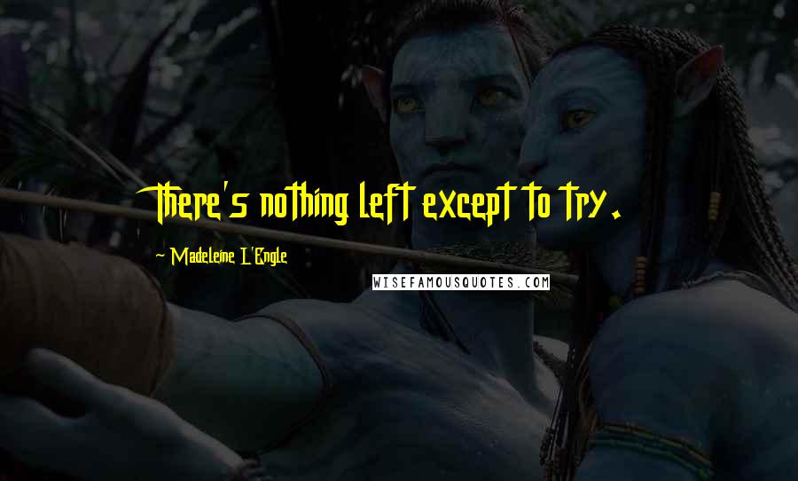 Madeleine L'Engle Quotes: There's nothing left except to try.