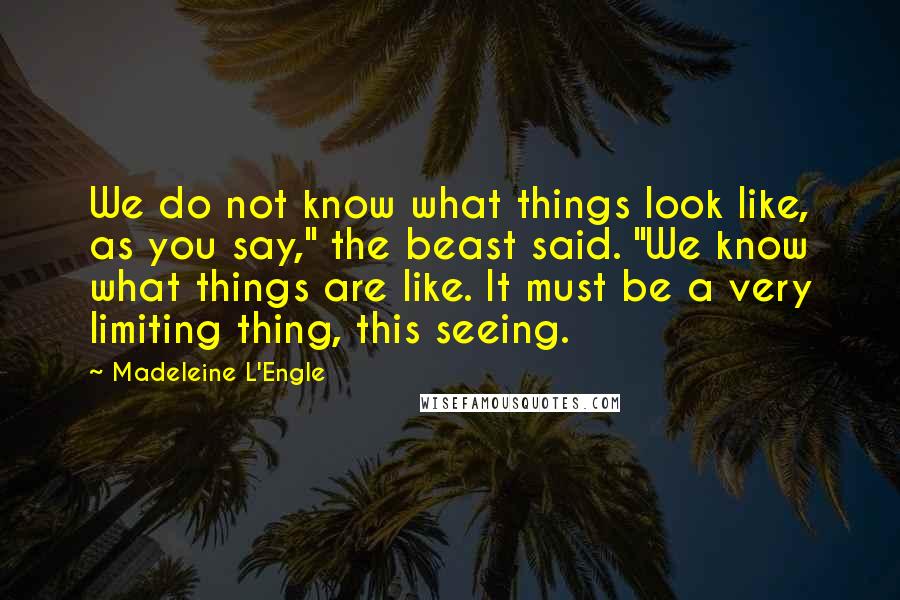 Madeleine L'Engle Quotes: We do not know what things look like, as you say," the beast said. "We know what things are like. It must be a very limiting thing, this seeing.