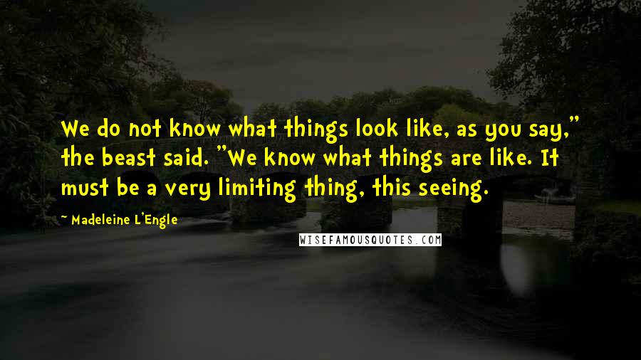 Madeleine L'Engle Quotes: We do not know what things look like, as you say," the beast said. "We know what things are like. It must be a very limiting thing, this seeing.