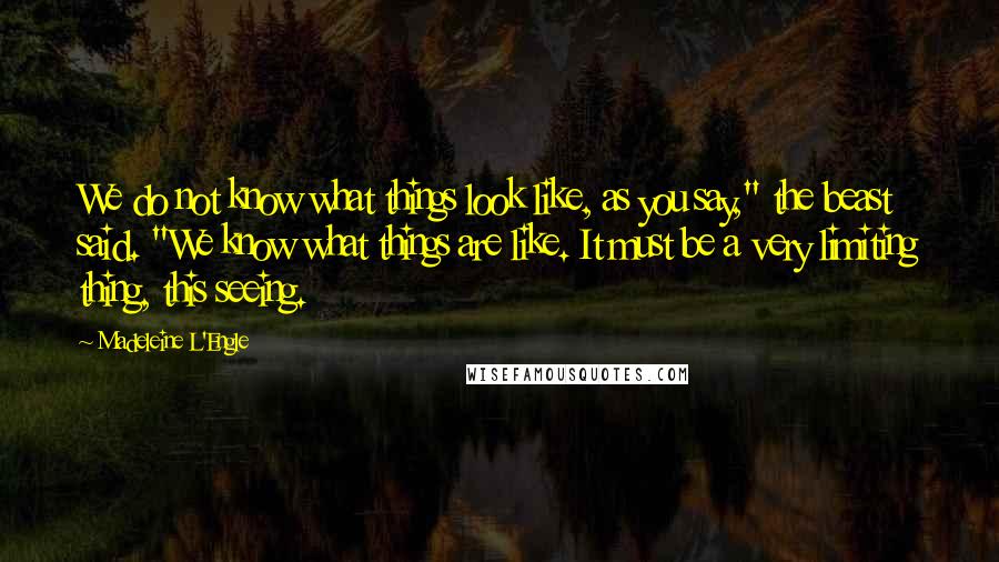 Madeleine L'Engle Quotes: We do not know what things look like, as you say," the beast said. "We know what things are like. It must be a very limiting thing, this seeing.