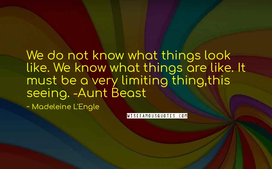 Madeleine L'Engle Quotes: We do not know what things look like. We know what things are like. It must be a very limiting thing,this seeing. -Aunt Beast