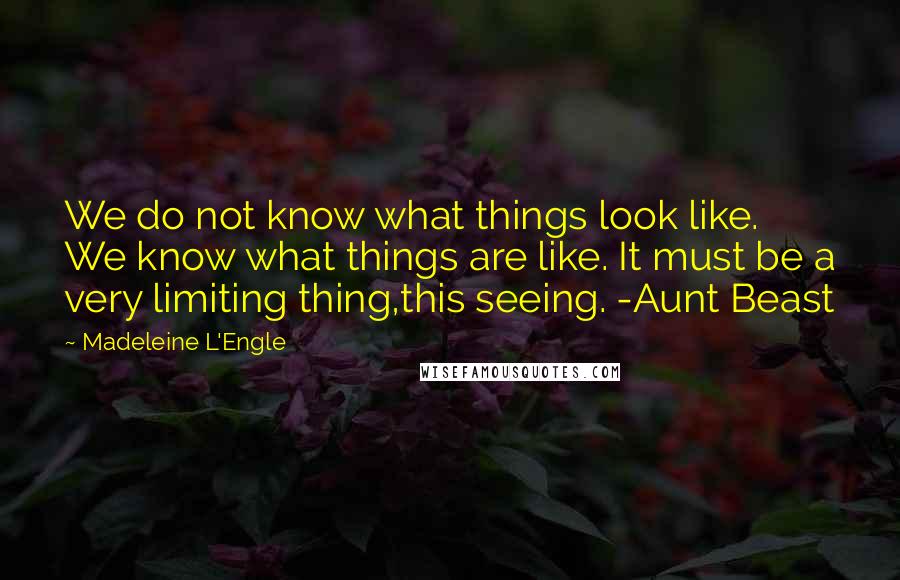 Madeleine L'Engle Quotes: We do not know what things look like. We know what things are like. It must be a very limiting thing,this seeing. -Aunt Beast