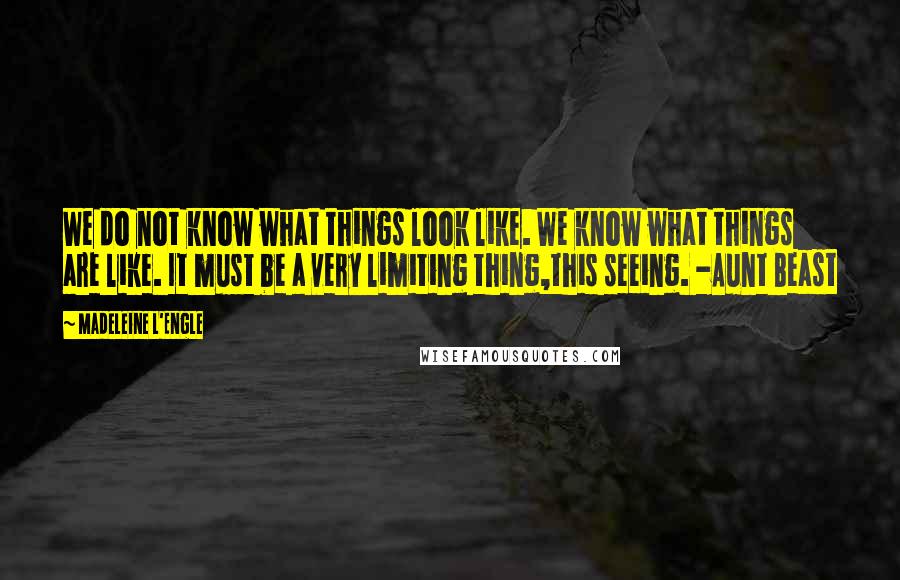 Madeleine L'Engle Quotes: We do not know what things look like. We know what things are like. It must be a very limiting thing,this seeing. -Aunt Beast