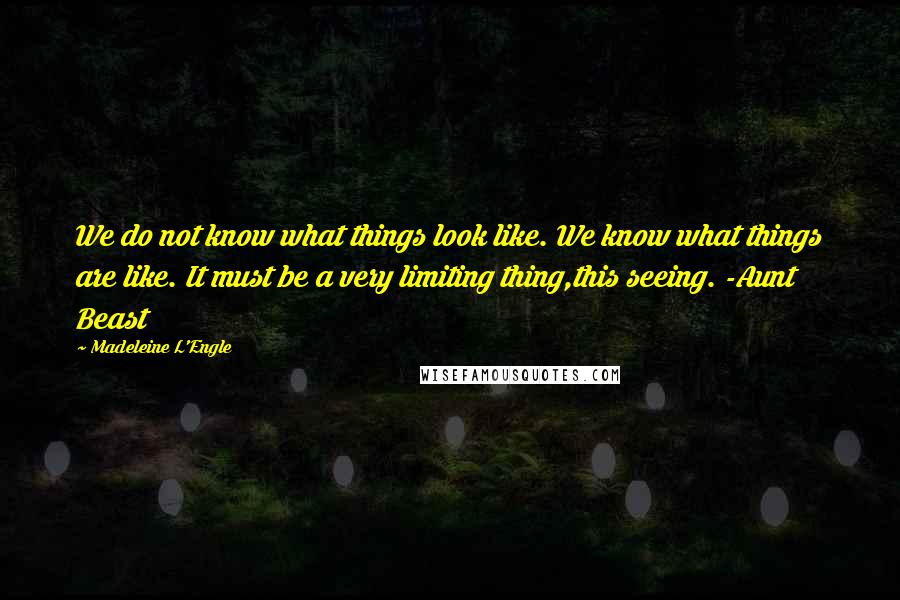 Madeleine L'Engle Quotes: We do not know what things look like. We know what things are like. It must be a very limiting thing,this seeing. -Aunt Beast