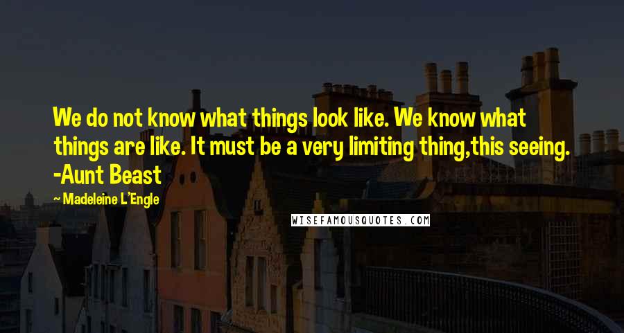 Madeleine L'Engle Quotes: We do not know what things look like. We know what things are like. It must be a very limiting thing,this seeing. -Aunt Beast