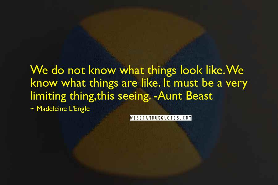 Madeleine L'Engle Quotes: We do not know what things look like. We know what things are like. It must be a very limiting thing,this seeing. -Aunt Beast