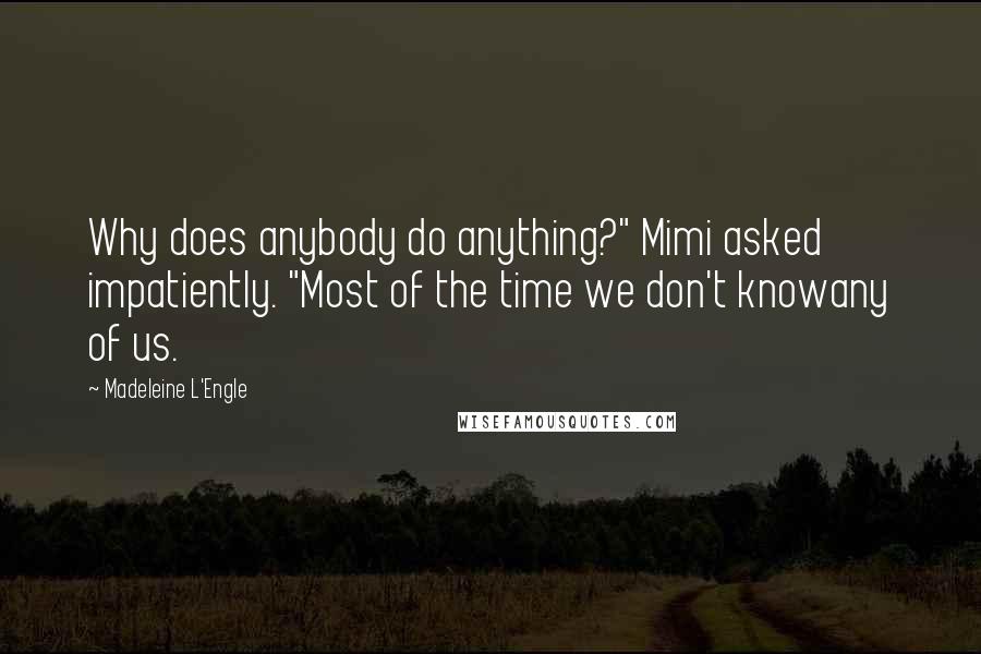 Madeleine L'Engle Quotes: Why does anybody do anything?" Mimi asked impatiently. "Most of the time we don't knowany of us.