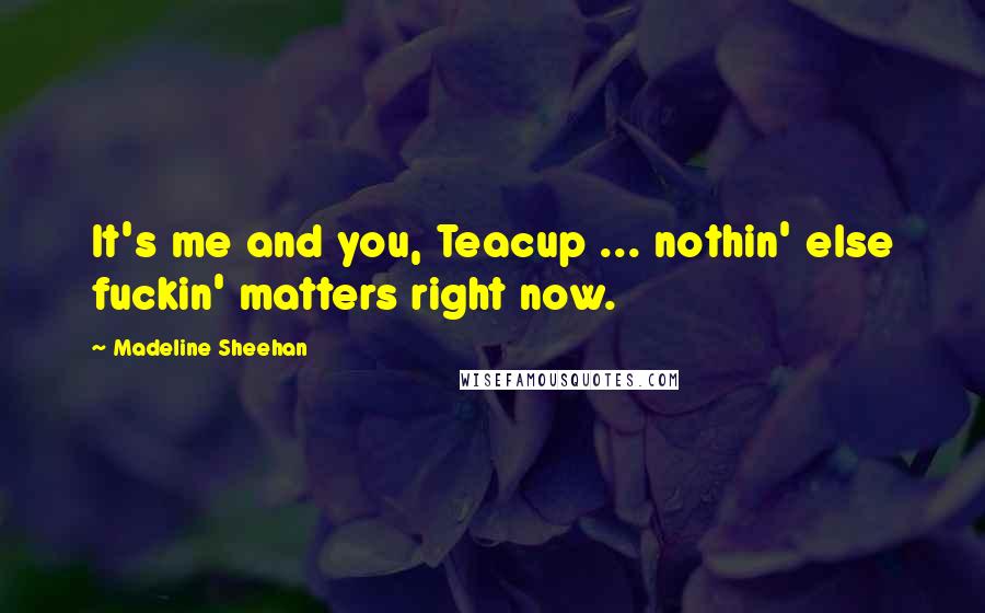 Madeline Sheehan Quotes: It's me and you, Teacup ... nothin' else fuckin' matters right now.