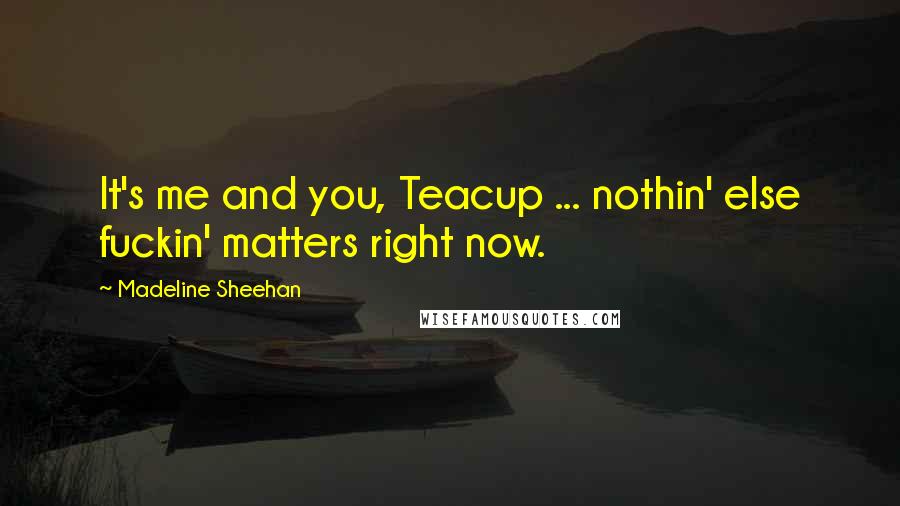 Madeline Sheehan Quotes: It's me and you, Teacup ... nothin' else fuckin' matters right now.