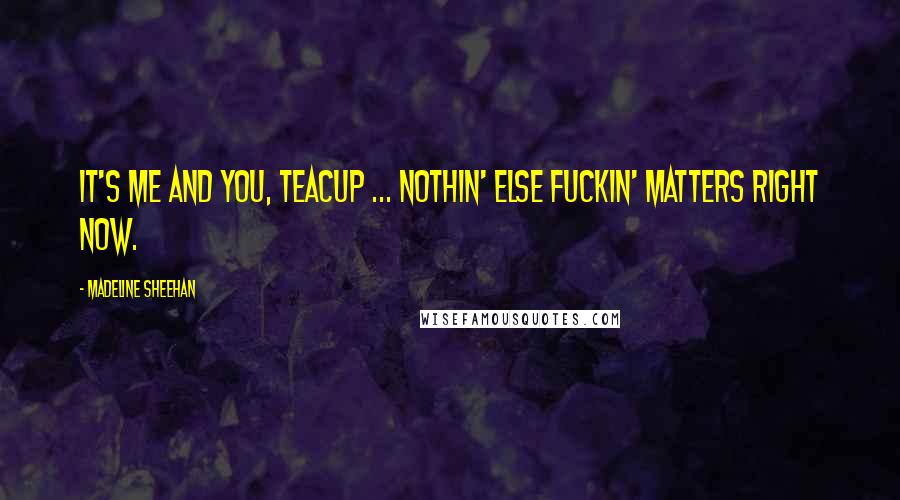 Madeline Sheehan Quotes: It's me and you, Teacup ... nothin' else fuckin' matters right now.