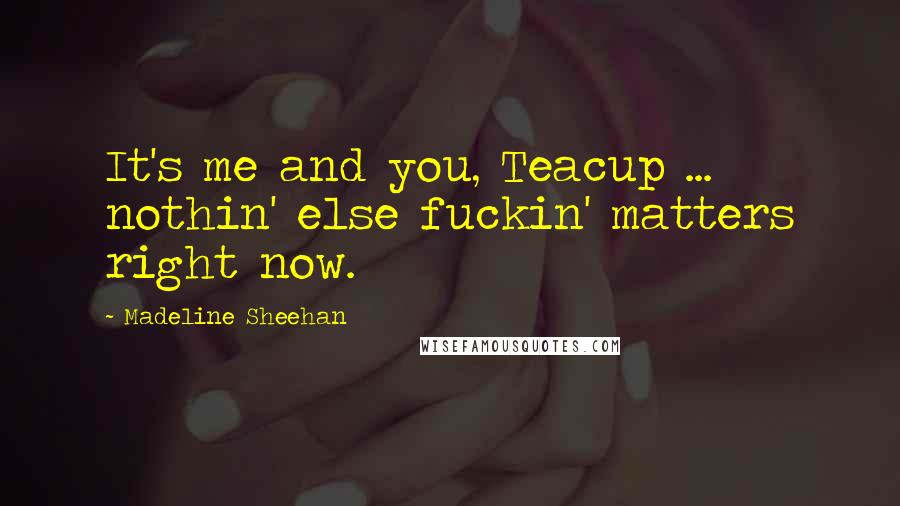 Madeline Sheehan Quotes: It's me and you, Teacup ... nothin' else fuckin' matters right now.