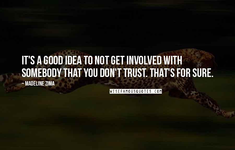 Madeline Zima Quotes: It's a good idea to not get involved with somebody that you don't trust. That's for sure.