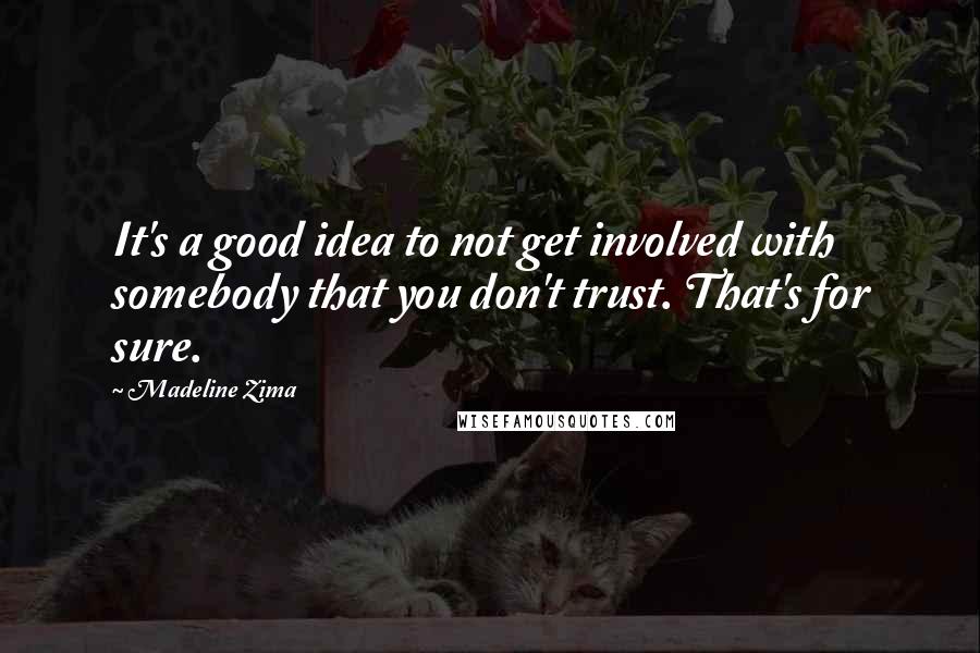 Madeline Zima Quotes: It's a good idea to not get involved with somebody that you don't trust. That's for sure.