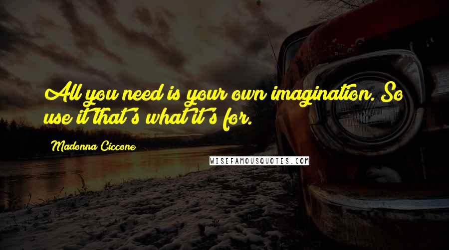 Madonna Ciccone Quotes: All you need is your own imagination. So use it that's what it's for.