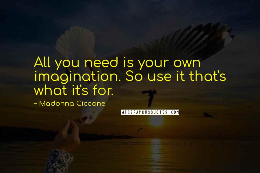 Madonna Ciccone Quotes: All you need is your own imagination. So use it that's what it's for.