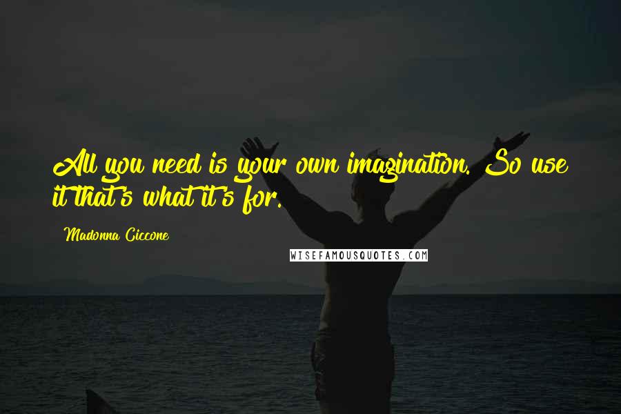 Madonna Ciccone Quotes: All you need is your own imagination. So use it that's what it's for.