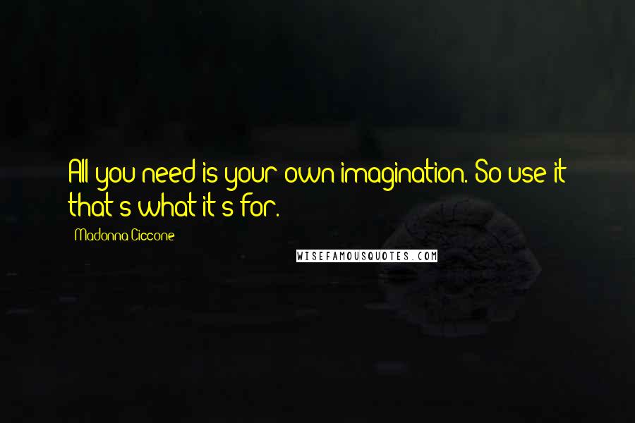 Madonna Ciccone Quotes: All you need is your own imagination. So use it that's what it's for.