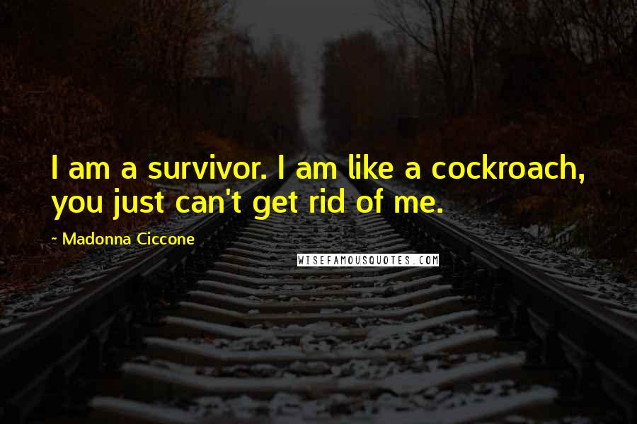 Madonna Ciccone Quotes: I am a survivor. I am like a cockroach, you just can't get rid of me.