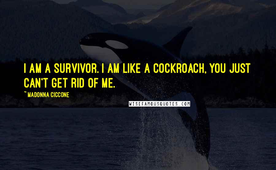 Madonna Ciccone Quotes: I am a survivor. I am like a cockroach, you just can't get rid of me.