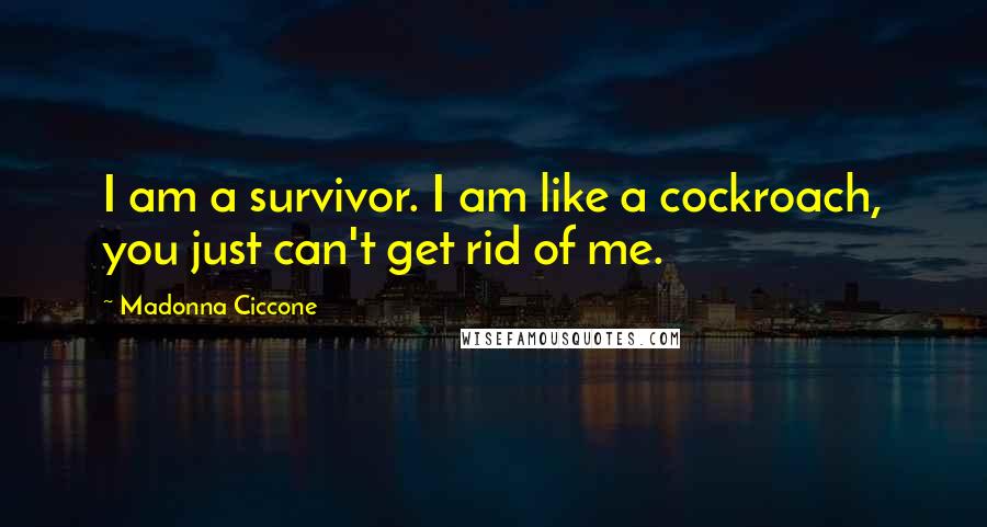 Madonna Ciccone Quotes: I am a survivor. I am like a cockroach, you just can't get rid of me.