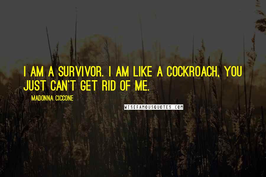 Madonna Ciccone Quotes: I am a survivor. I am like a cockroach, you just can't get rid of me.