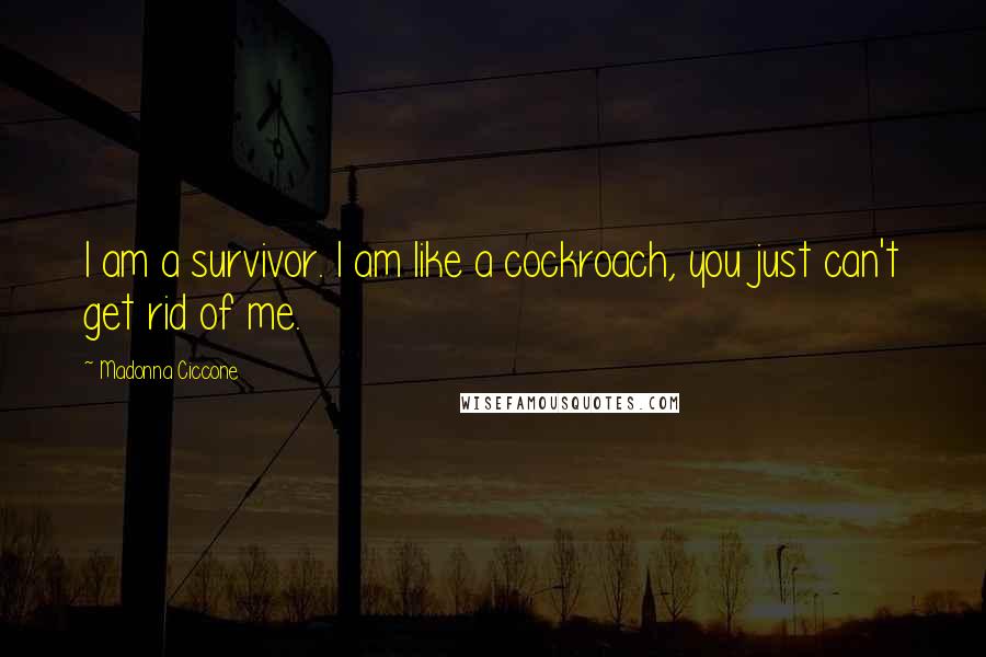 Madonna Ciccone Quotes: I am a survivor. I am like a cockroach, you just can't get rid of me.