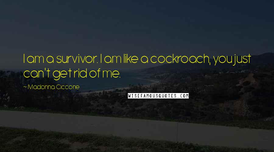 Madonna Ciccone Quotes: I am a survivor. I am like a cockroach, you just can't get rid of me.
