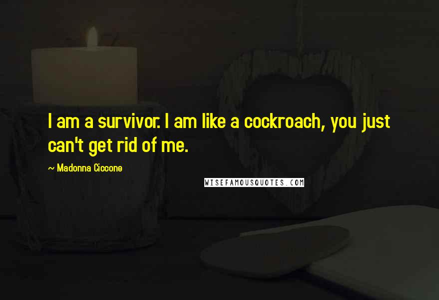 Madonna Ciccone Quotes: I am a survivor. I am like a cockroach, you just can't get rid of me.