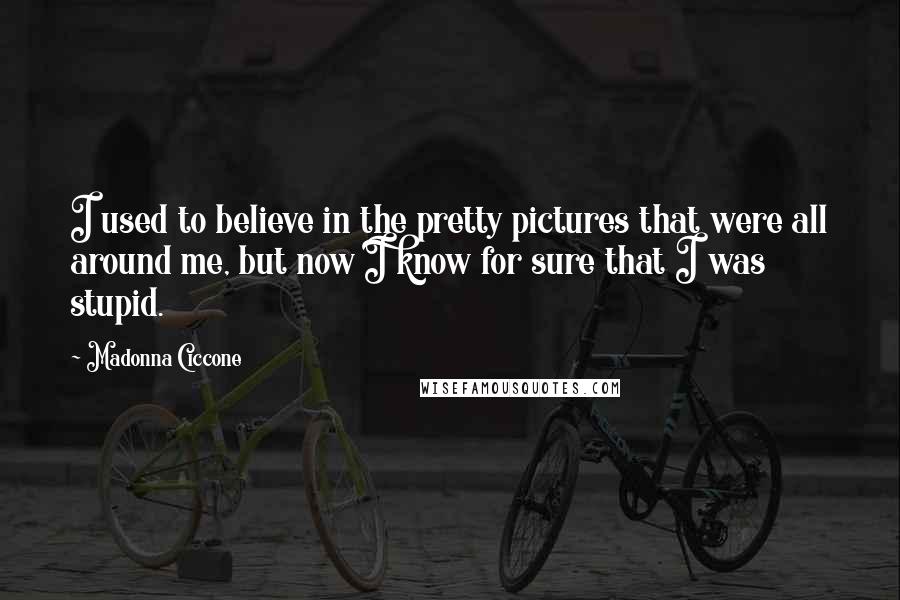 Madonna Ciccone Quotes: I used to believe in the pretty pictures that were all around me, but now I know for sure that I was stupid.