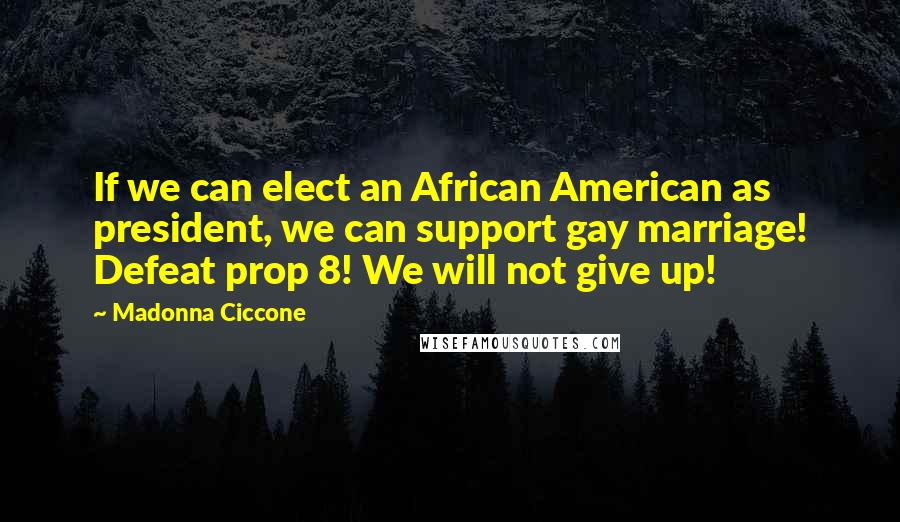 Madonna Ciccone Quotes: If we can elect an African American as president, we can support gay marriage! Defeat prop 8! We will not give up!