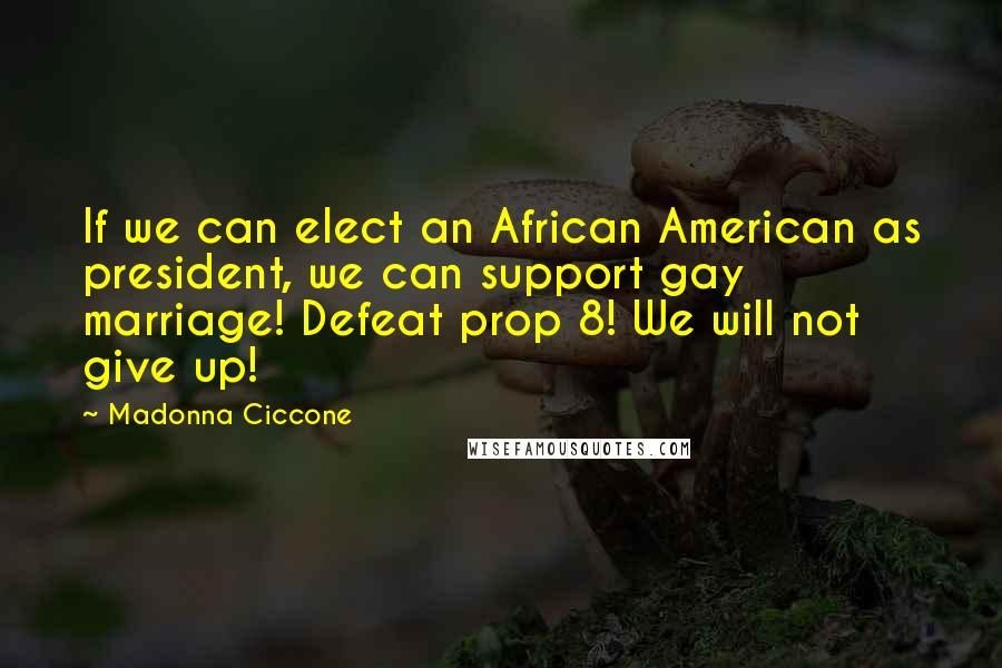 Madonna Ciccone Quotes: If we can elect an African American as president, we can support gay marriage! Defeat prop 8! We will not give up!
