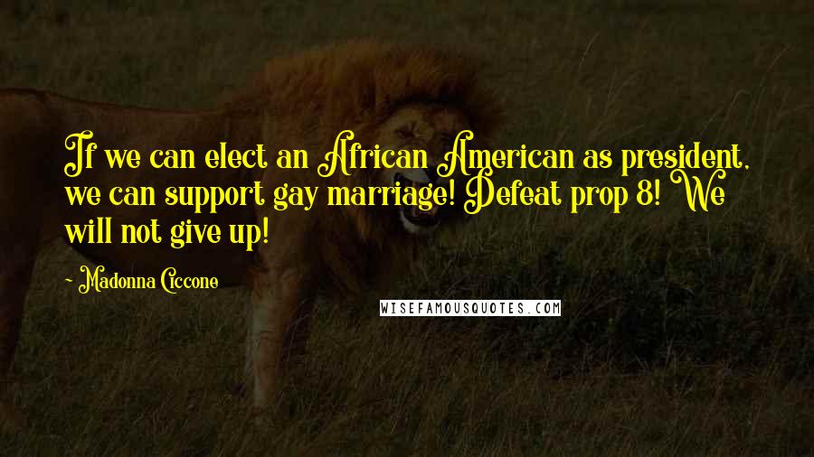 Madonna Ciccone Quotes: If we can elect an African American as president, we can support gay marriage! Defeat prop 8! We will not give up!
