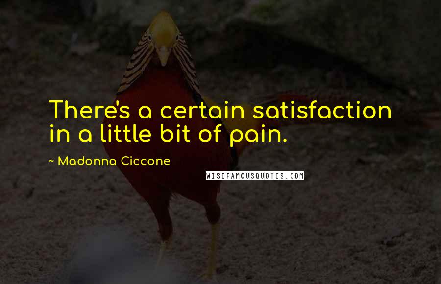 Madonna Ciccone Quotes: There's a certain satisfaction in a little bit of pain.