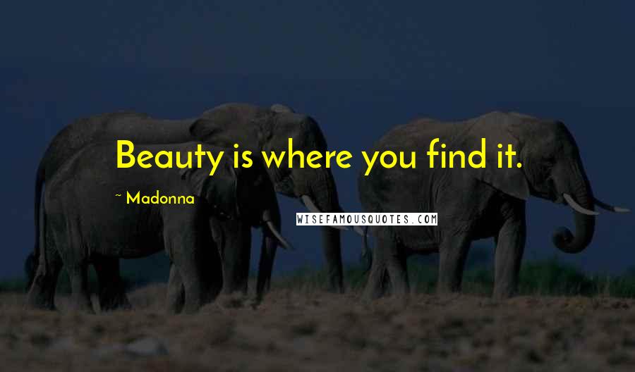 Madonna Quotes: Beauty is where you find it.