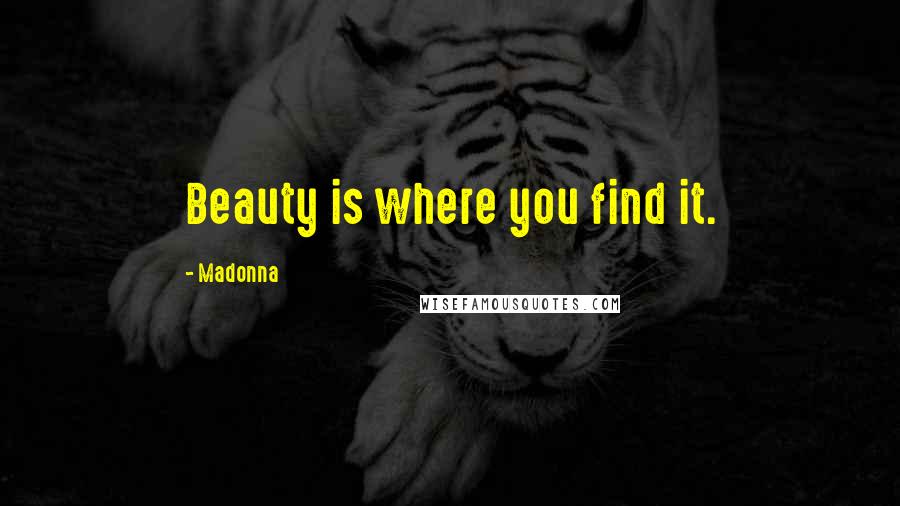 Madonna Quotes: Beauty is where you find it.