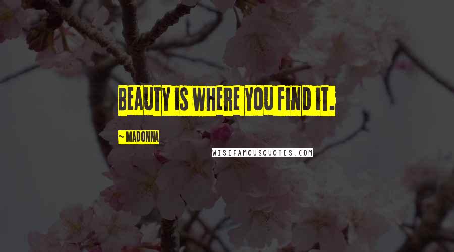 Madonna Quotes: Beauty is where you find it.