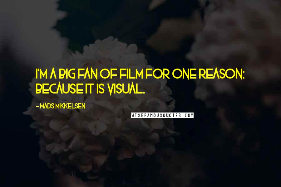 Mads Mikkelsen Quotes: I'm a big fan of film for one reason: because it is visual.