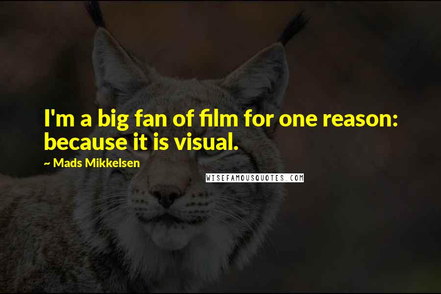 Mads Mikkelsen Quotes: I'm a big fan of film for one reason: because it is visual.