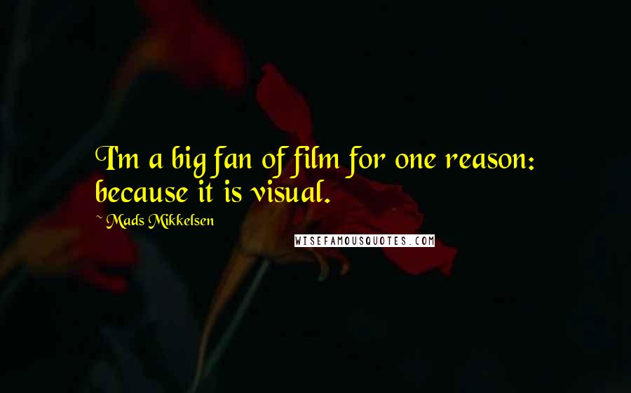 Mads Mikkelsen Quotes: I'm a big fan of film for one reason: because it is visual.