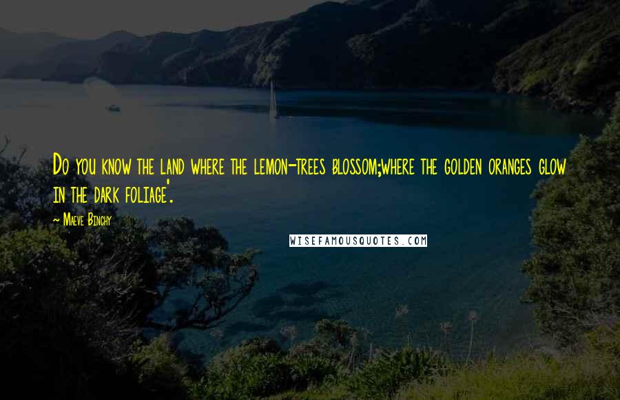 Maeve Binchy Quotes: Do you know the land where the lemon-trees blossom;where the golden oranges glow in the dark foliage'.