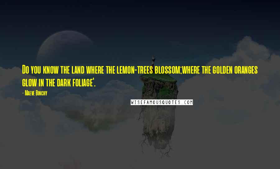 Maeve Binchy Quotes: Do you know the land where the lemon-trees blossom;where the golden oranges glow in the dark foliage'.