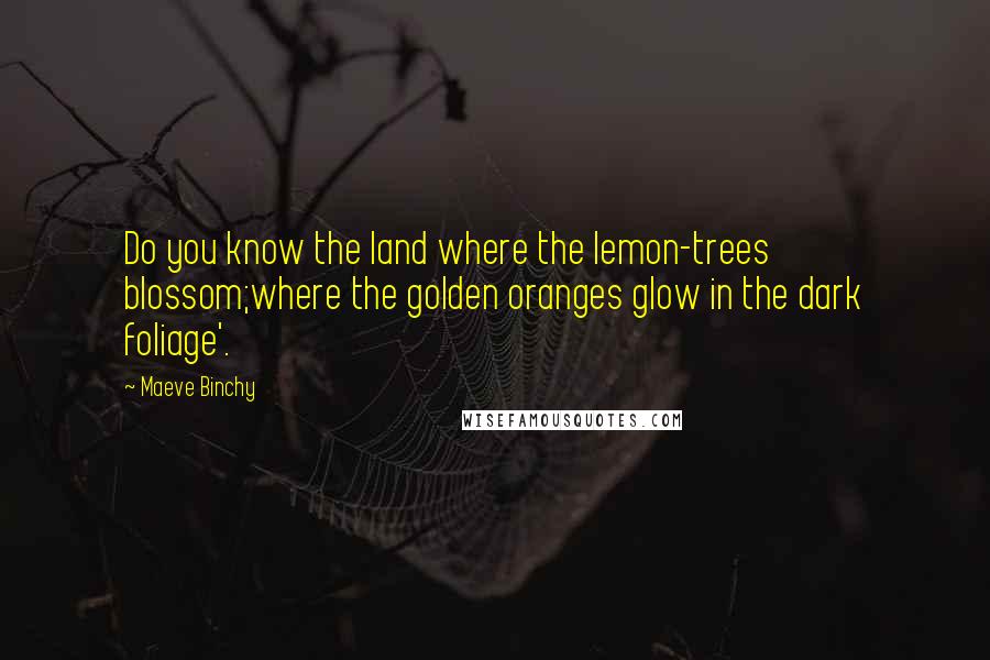 Maeve Binchy Quotes: Do you know the land where the lemon-trees blossom;where the golden oranges glow in the dark foliage'.