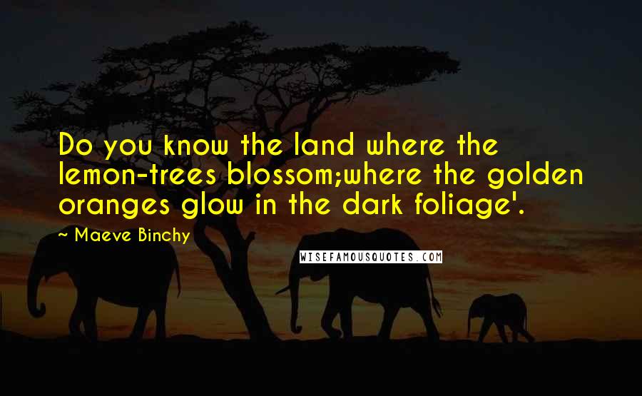 Maeve Binchy Quotes: Do you know the land where the lemon-trees blossom;where the golden oranges glow in the dark foliage'.