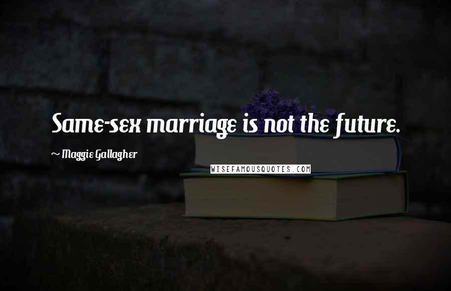 Maggie Gallagher Quotes: Same-sex marriage is not the future.