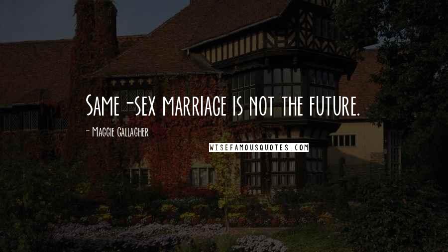 Maggie Gallagher Quotes: Same-sex marriage is not the future.