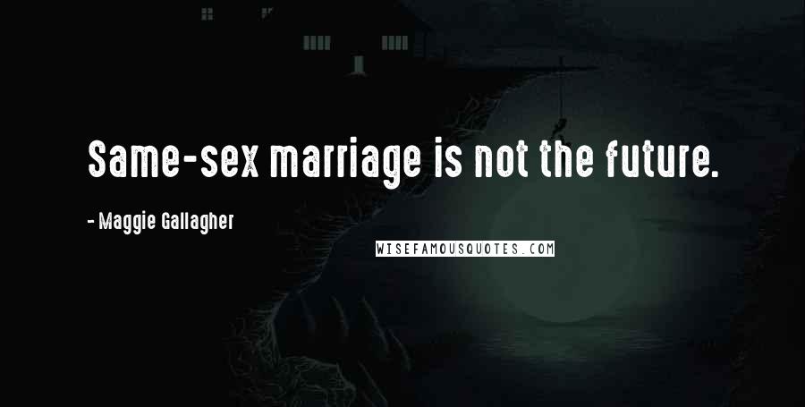 Maggie Gallagher Quotes: Same-sex marriage is not the future.